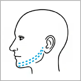 顎から耳までのライン