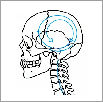 脳脊髄液の流れ